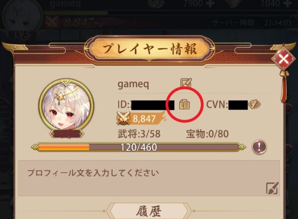 少女廻戦 IDとCVN