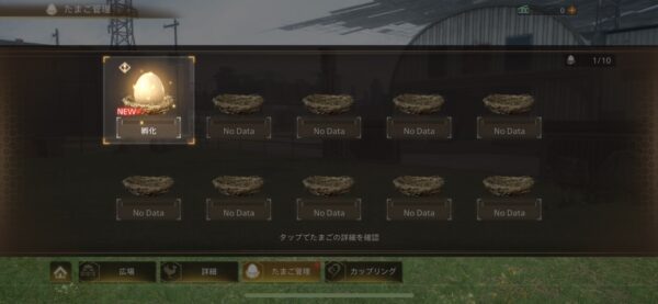 FF7FS チョコボ 卵